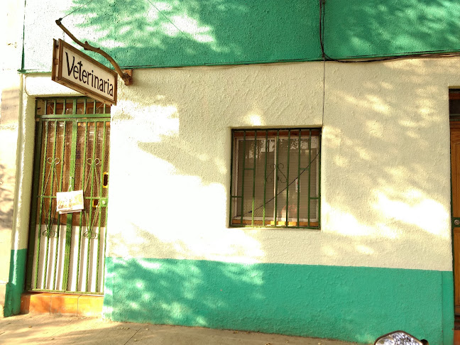 Opinii despre Clínica Veterinaria Escanilla în Independencia - Veterinario