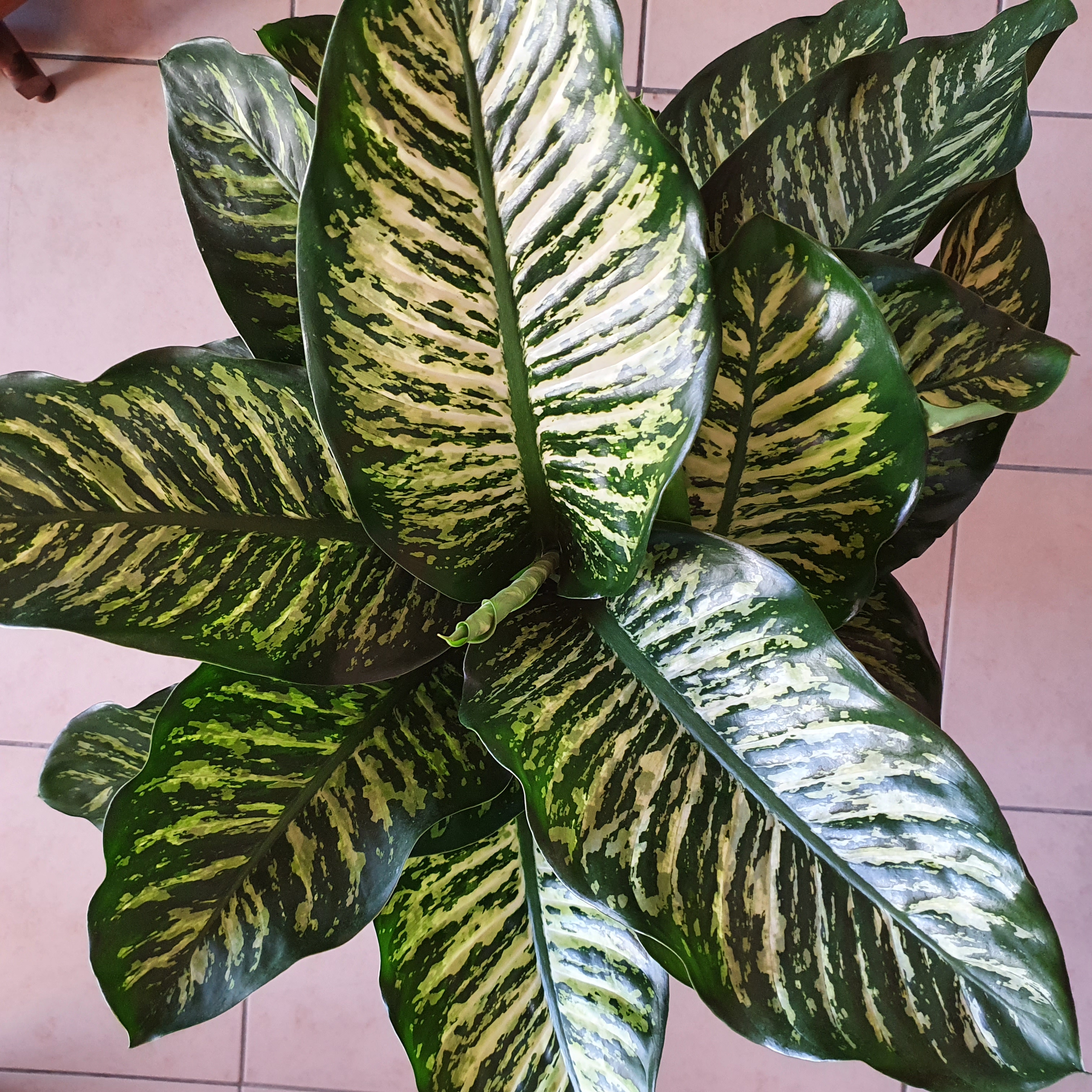 Photo n° 6 de l'avis de allisgreenathome.� fait le 29/11/2020 à 09:11