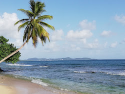 Zdjęcie Plage Anse desert obszar udogodnień