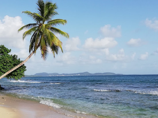 Plage Anse désert