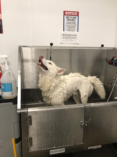 Home Improvement Store «Tractor Supply Co.», reviews and photos, 4601 E Grand River Ave, Howell, MI 48843, USA