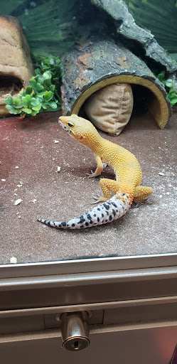 Pet Store «PetSmart», reviews and photos, 10451 Baltimore St NE, Blaine, MN 55449, USA