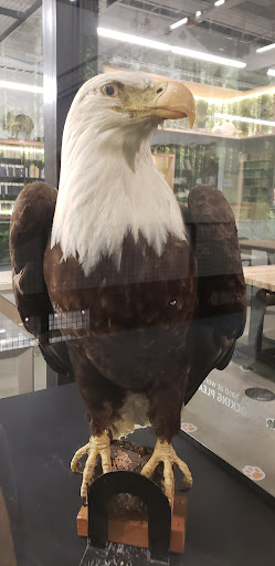 Natural History Museum «Burke Museum of Natural History and Culture», reviews and photos, 1413 NE 45th St, Seattle, WA 98105, USA