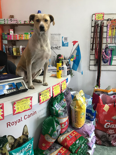 Huellitas Pet Shop
