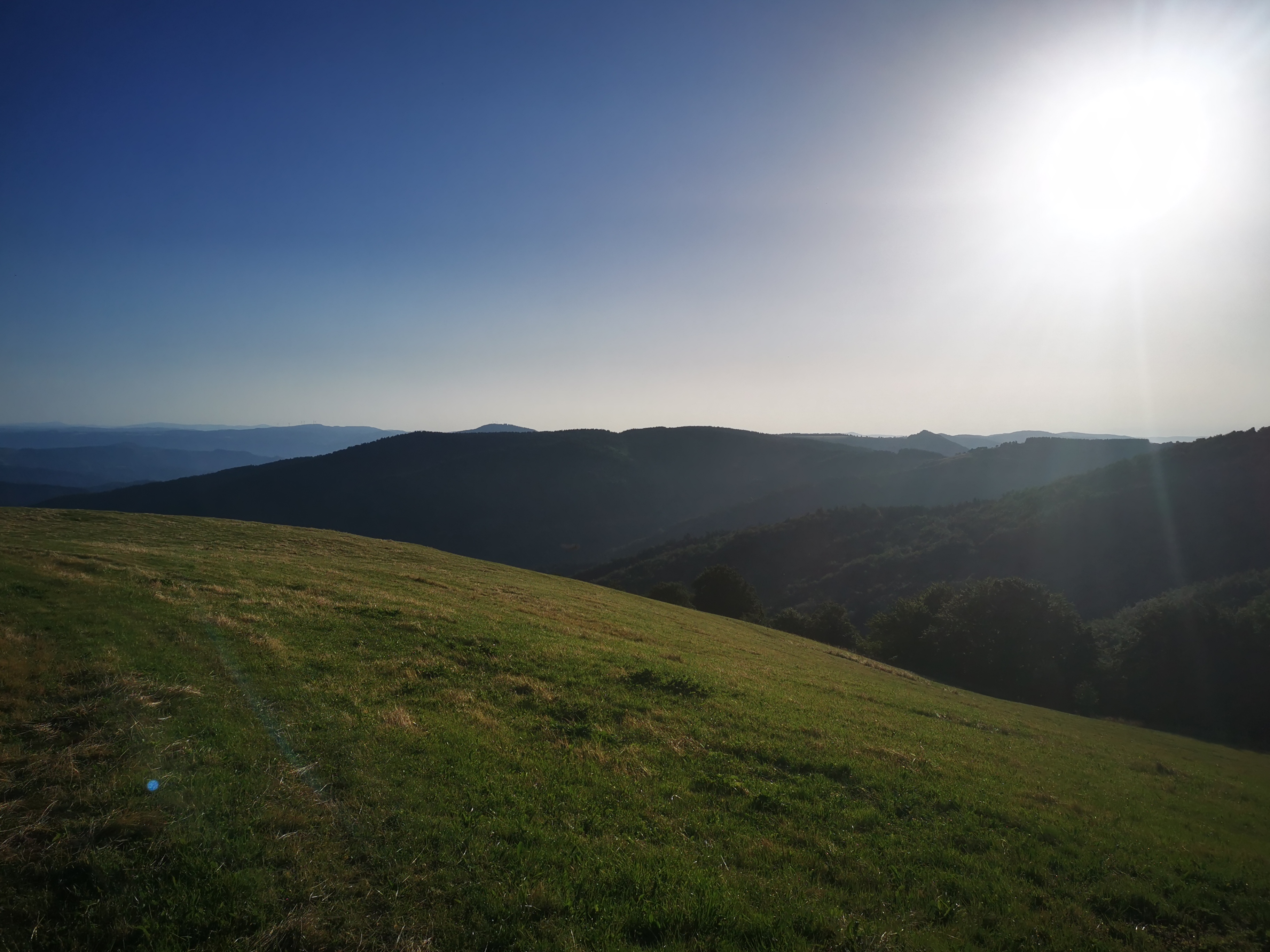 Photo n° 47 de l'avis de Seb. fait le 14/07/2023 à 04:55