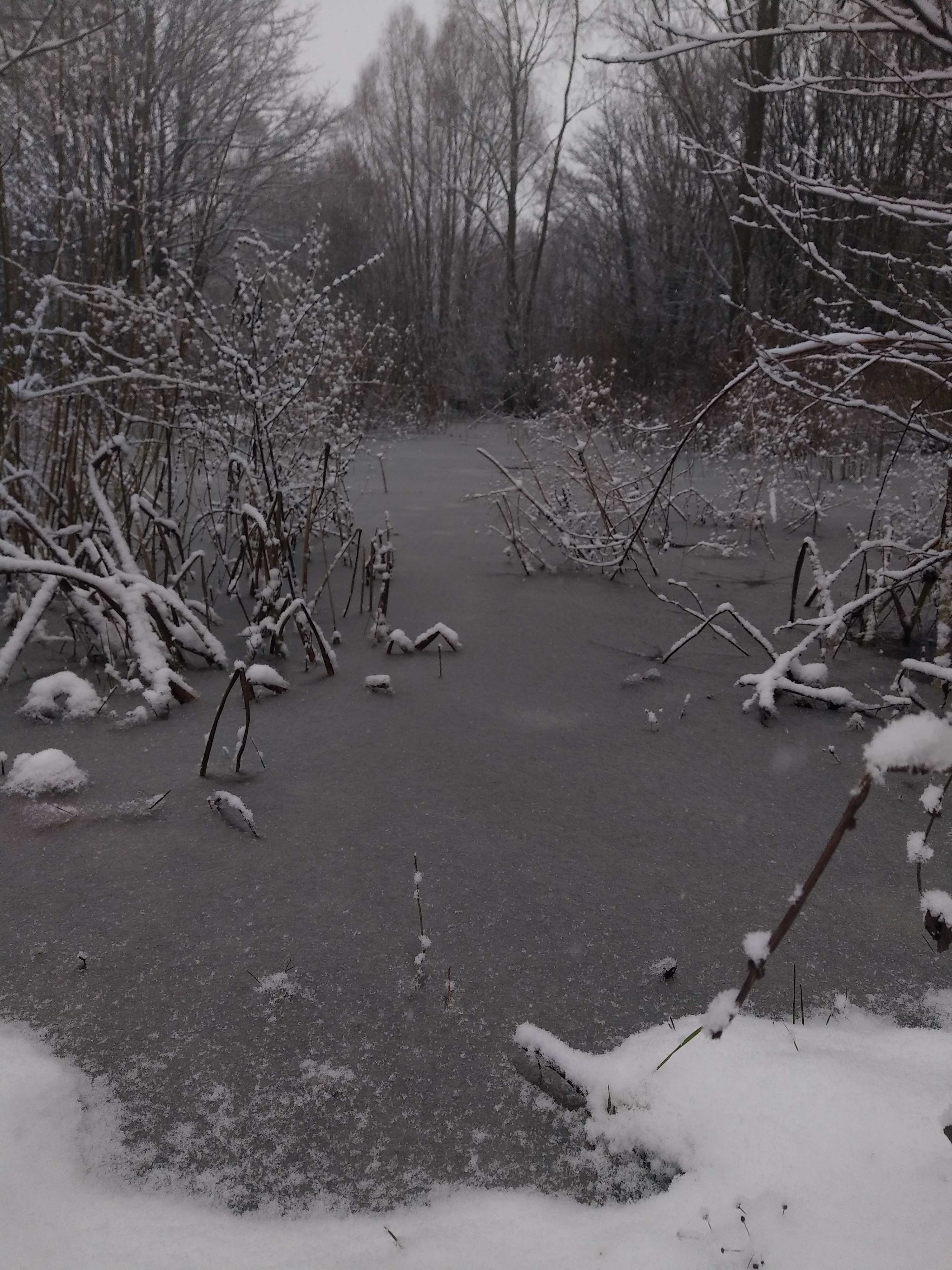 Photo n° 6 de l'avis de Perrine.e fait le 17/01/2024 à 17:53