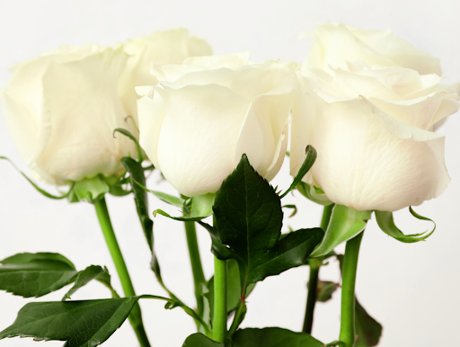 Florist «Neffsville Flower Shoppe», reviews and photos, 2700 Lititz Pike, Lancaster, PA 17601, USA