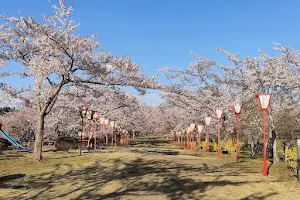 Hayakakenuma Park image