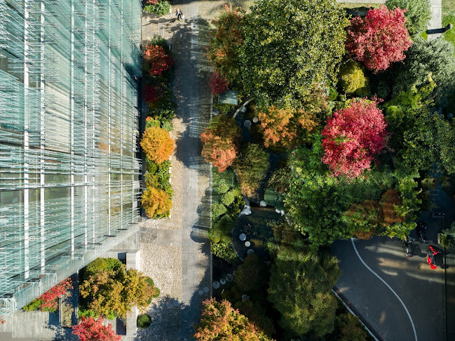 Opinii despre SPG Genève în Genf - Immobilienmakler