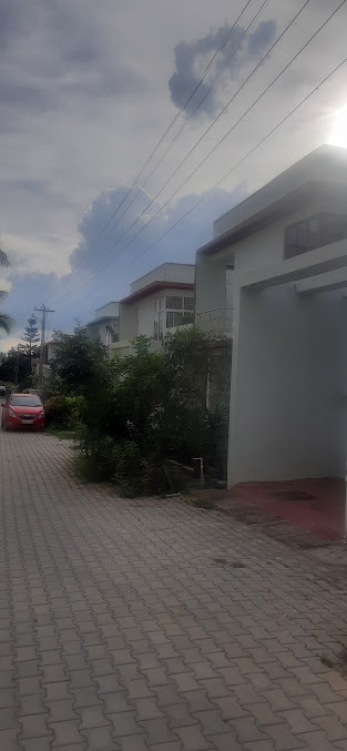 Google Maps image 21