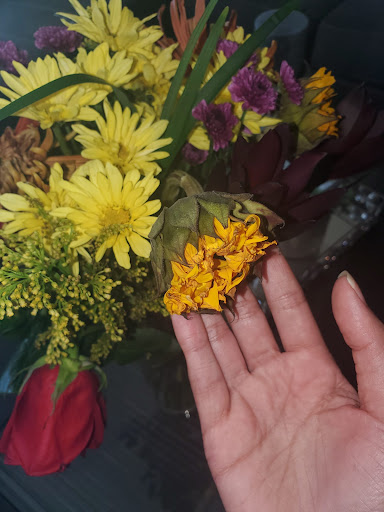 Gift Shop «Edible Arrangements», reviews and photos, 549 E Interstate 30, Rockwall, TX 75087, USA