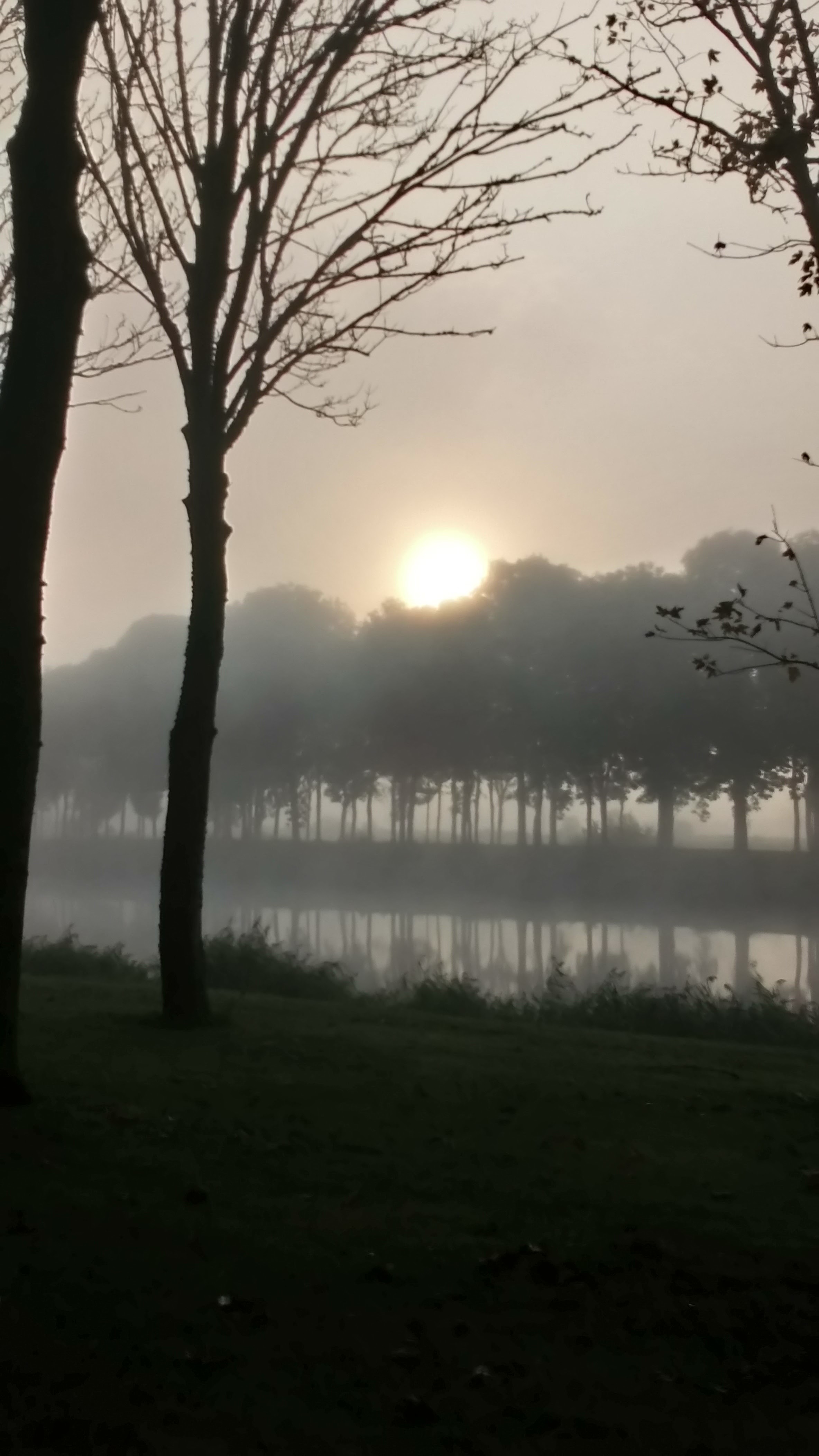 Photo n° 1 de l'avis de Ghislaine.U fait le 02/09/2018 à 18:03