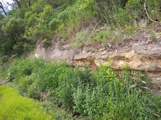 Nature Preserve «Bruce Vento Nature Sanctuary», reviews and photos, 4th St E, St Paul, MN 55106, USA