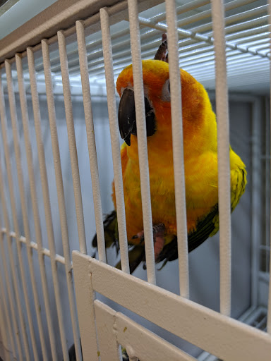 Pet Supply Store «Pet Supplies Plus», reviews and photos, 2927 Riley Fuzzel Rd #400, Spring, TX 77386, USA