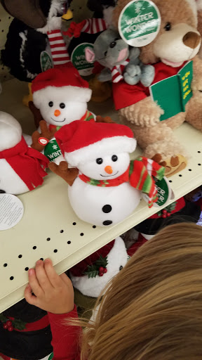 Discount Store «Big Lots», reviews and photos, 751 Dominion Square Shopping Center, Culpeper, VA 22701, USA