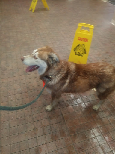 Pet Supply Store «Pet Food Express», reviews and photos, 2158 Contra Costa Blvd, Pleasant Hill, CA 94523, USA