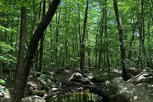 Sourland Mountain Hiking Trail image
