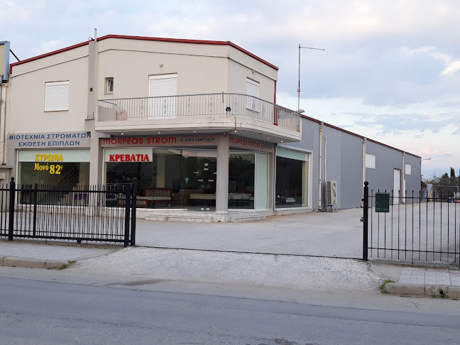 MORFEAS STROM -Χρυσάνθη Χαραλαμπίδου