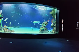 Fureai Aquarium image