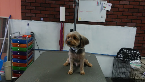 Pet Groomer «Premier Loving Care», reviews and photos, 48 E Washington St, Shelbyville, IN 46176, USA