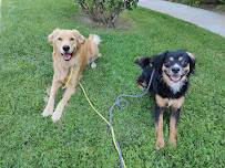 The Royal Pack - Photo 2 - Car repair in , El Monte