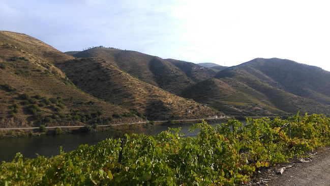 Quinta da Pedra Alta Horário de abertura