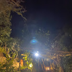 Photo n°1 de l'avis de gianluigi. fait le 29/03/2024 à 20:48 sur le  Ristorante Montecorvo à Forio