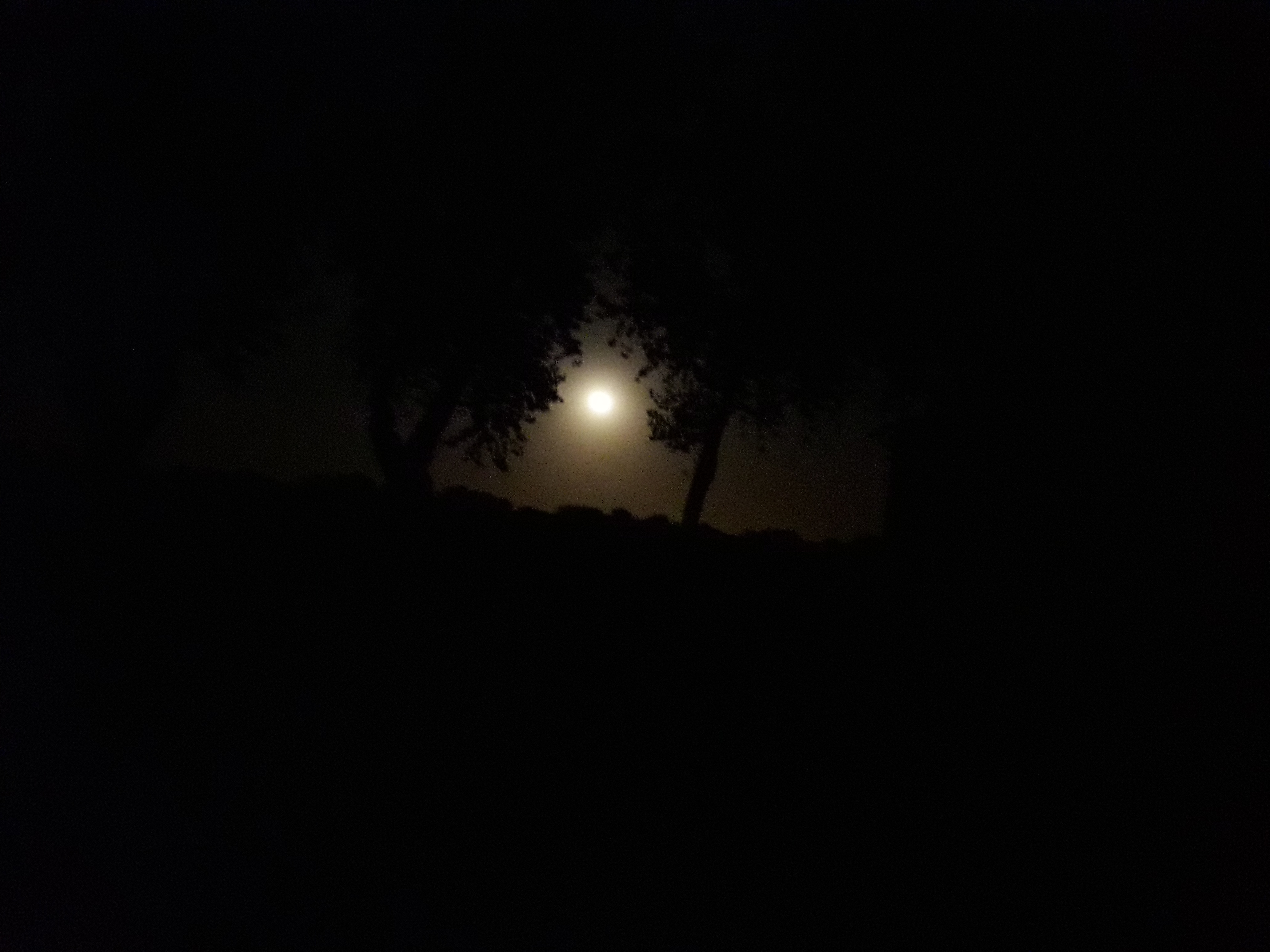 Photo n° 1 de l'avis de chantal.i fait le 26/09/2018 à 06:19