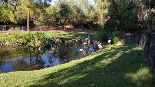 Zoo «Phoenix Zoo», reviews and photos, 455 N Galvin Pkwy, Phoenix, AZ 85008, USA