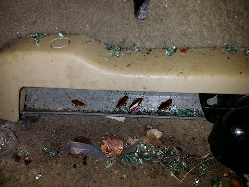 Auto Body Shop «Gerber Collision & Glass», reviews and photos, 5520 L B McLeod Rd, Orlando, FL 32811, USA