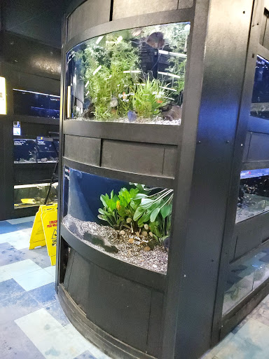 Pet Store «Pets Warehouse», reviews and photos, 177 Glen Cove Rd, Carle Place, NY 11514, USA