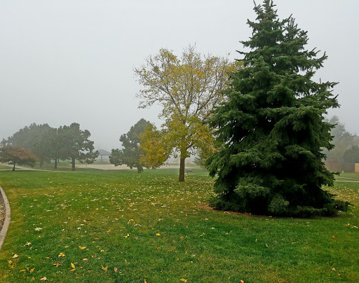 Park «Dublin Park», reviews and photos, 2450 Roundtop Dr, Colorado Springs, CO 80918, USA