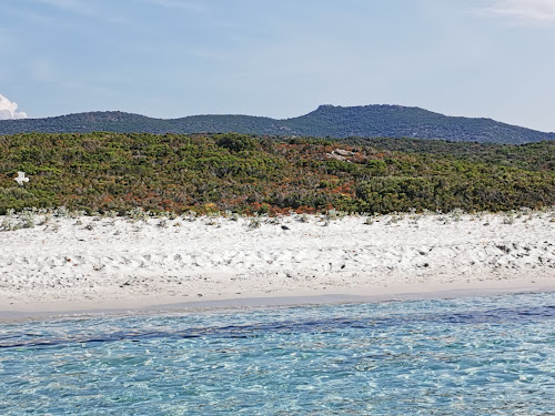 Plage de Ghignu à Santo-Pietro-di-Tenda