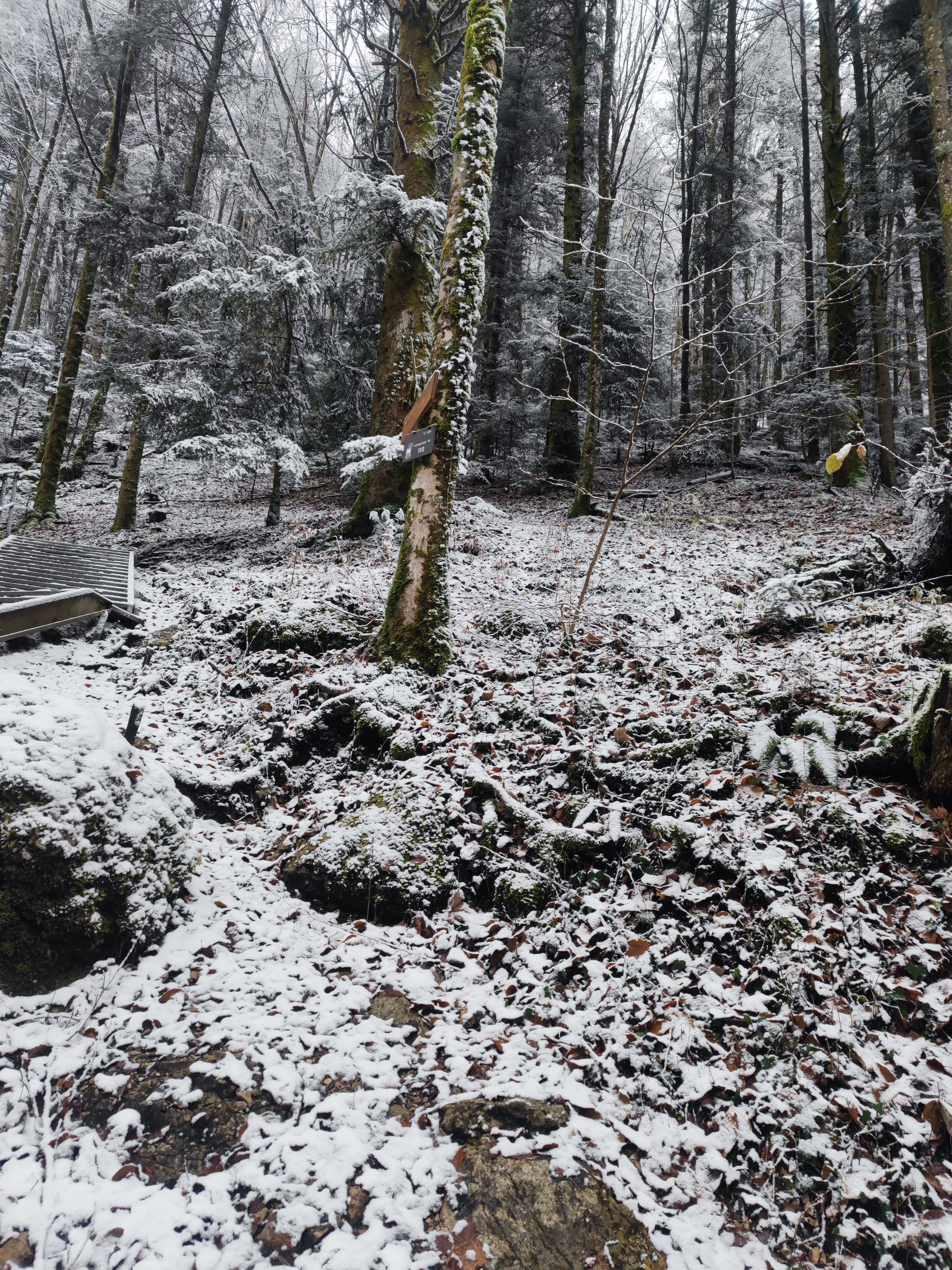 Photo n° 9 de l'avis de Benoît.l fait le 10/12/2022 à 20:27