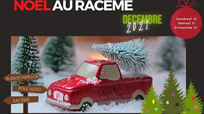 Domaine Du Racème à Blienschwiller