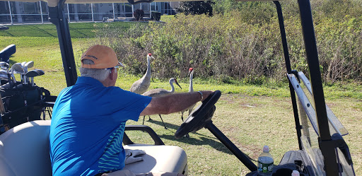 Golf Club «Kissimmee Bay Country Club», reviews and photos, 2801 Kissimmee Bay Blvd, Kissimmee, FL 34744, USA