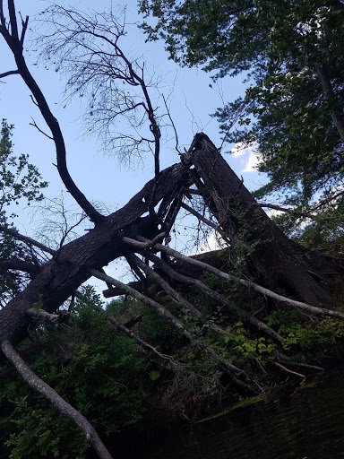 State Park «Bradley Palmer State Park», reviews and photos, 40 Asbury St, Topsfield, MA 01983, USA