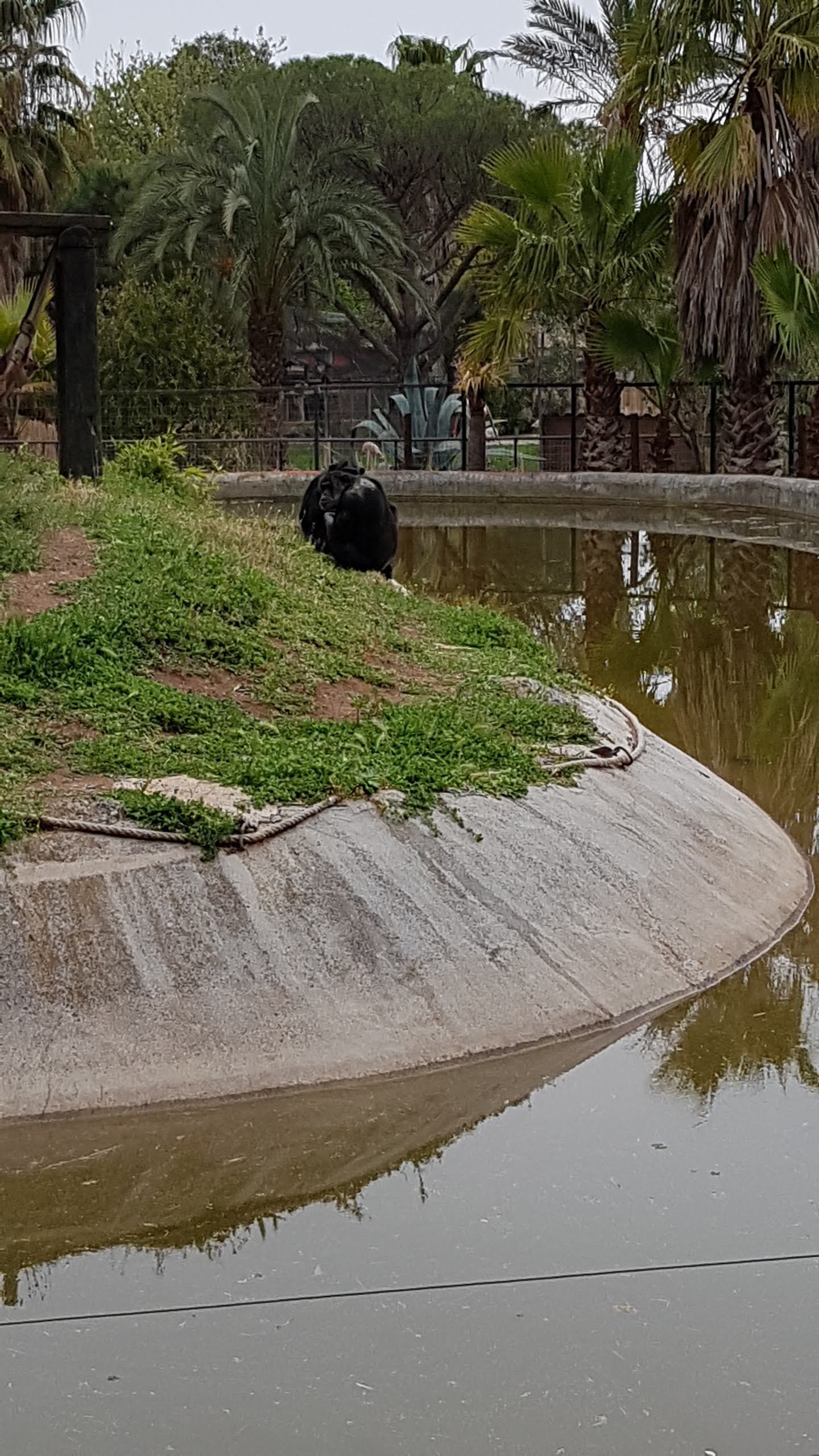 Photo n° 42 de l'avis de Isabelle.e fait le 16/04/2019 à 22:21