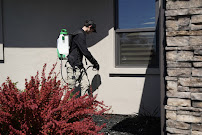 Master Pest Control - Photo 1 - Car repair in , Roseville