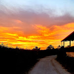 Photo n°2 de l'avis de LORENZO.E fait le 17/08/2019 à 19:51 sur le  Podere Dell'Arco Country Charme à Viterbo
