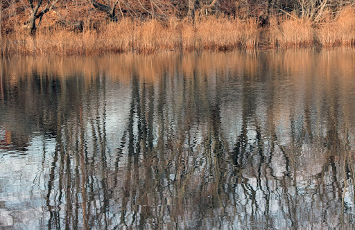 Park «East Rock Park», reviews and photos, 41 Cold Spring St, New Haven, CT 06511, USA