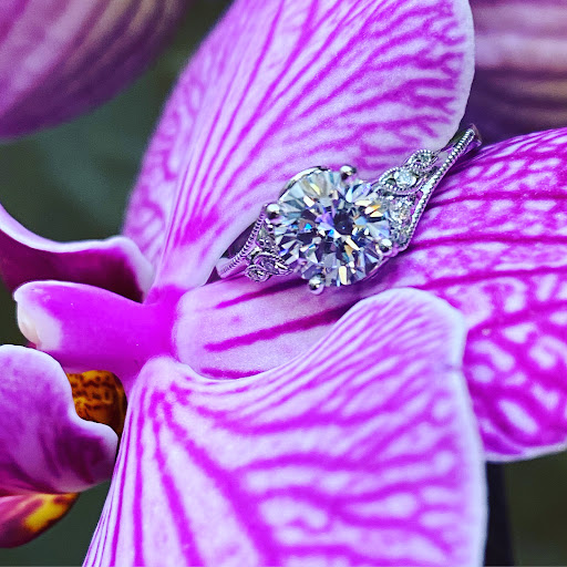 Jeweler «Gentilcore Jewelers», reviews and photos, 1155 Freeport Rd, Blawnox, PA 15238, USA