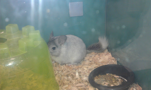 Pet Supply Store «Pet Depot», reviews and photos, 14236 US-431, Guntersville, AL 35976, USA