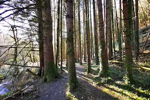 Glanageenty Forest Recreation Area image