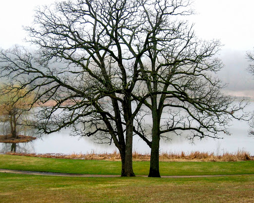 Nature Preserve «Crystal Lake Park District», reviews and photos, 330 N Main St, Crystal Lake, IL 60014, USA