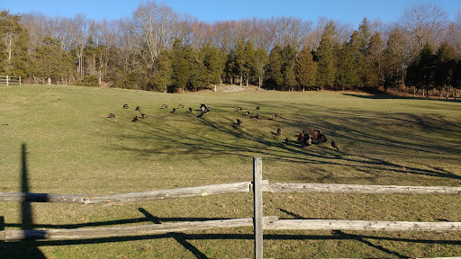 Park «Hillside Park», reviews and photos, 146 Lake Iliff Rd, Newton, NJ 07860, USA