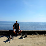 Photo n°1 de l'avis de Renáta.u fait le 11/09/2022 à 15:31 sur le  Villaggio Ca' Laguna à Grado