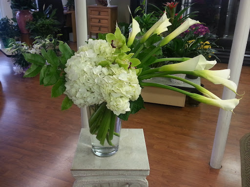 Florist «Starclaire House of Flowers Florist», reviews and photos, 1421 Emerywood Dr, Charlotte, NC 28210, USA