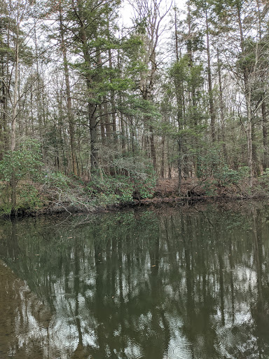 Tree Service «Exquisite Environments», reviews and photos, 1351 Stillwater Rd, Stamford, CT 06902, USA