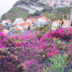 Photo n°7 de l'avis de catherine.a fait le 27/09/2021 à 12:25 sur le  Ocean Gardens Hotel à Sao Goncalo / Funchal